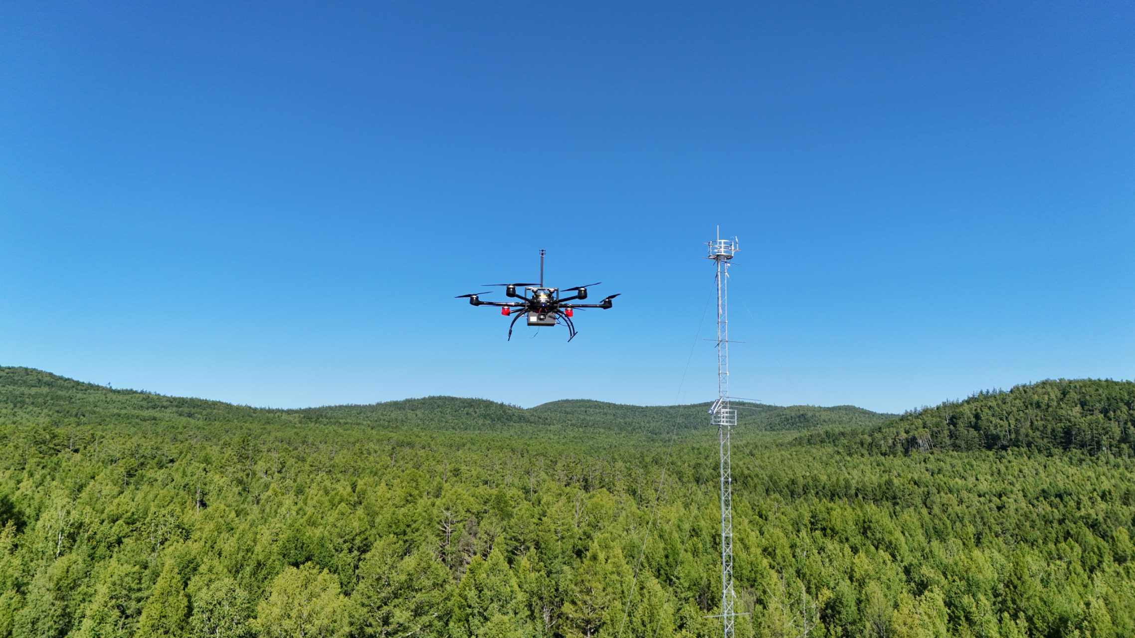 圖片33.png 圖片33.png